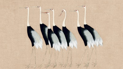 Muurschildering