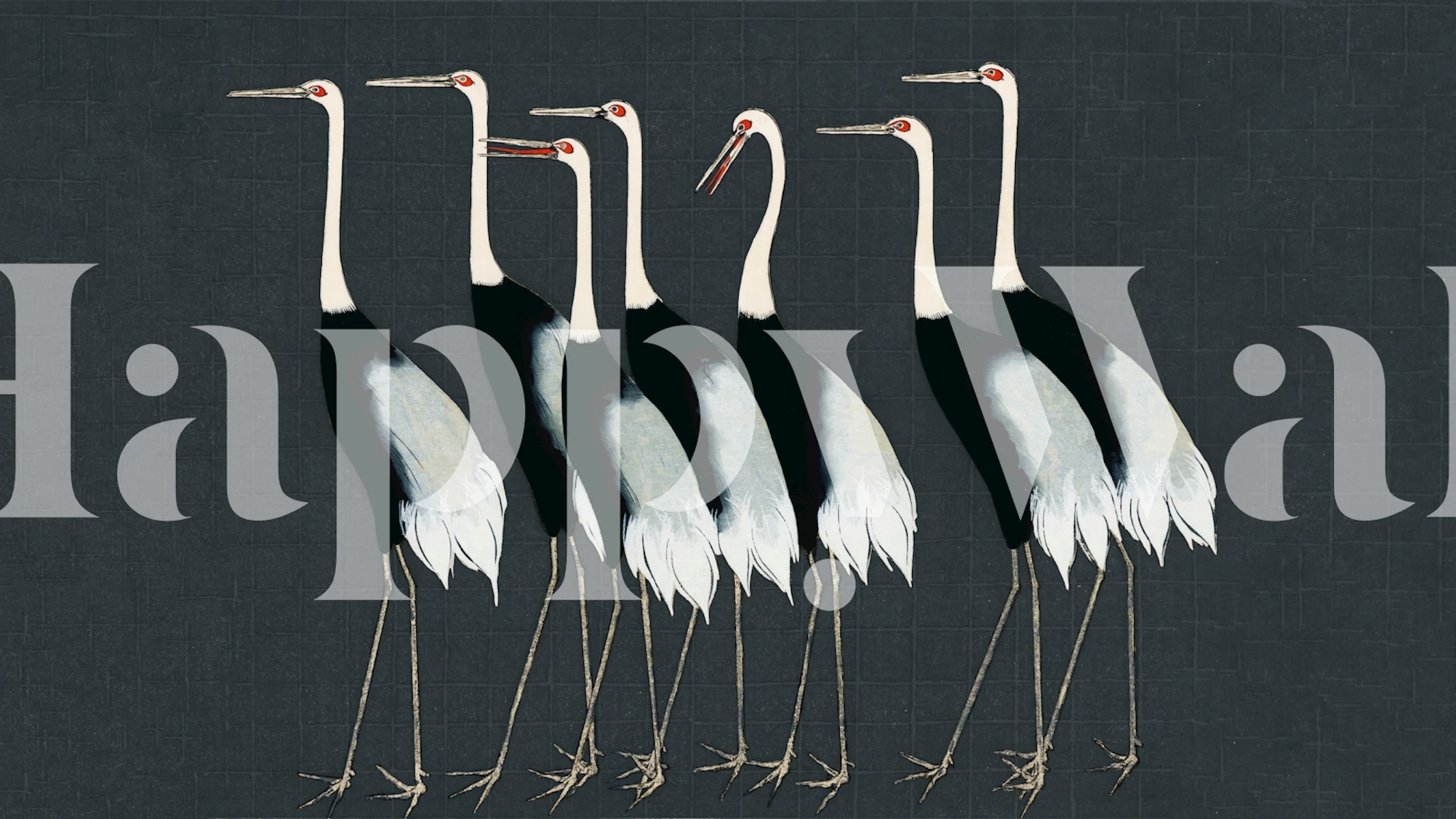 Zwart-witte Japanse cranen op een donkere achtergrond, stijlvol behang
