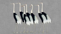 Japan Cranes on Grey tapete