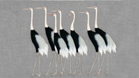 Japan Cranes on Grey tapete