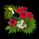 Toucan and tropical flora 3