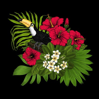 general.design-type-header-mural