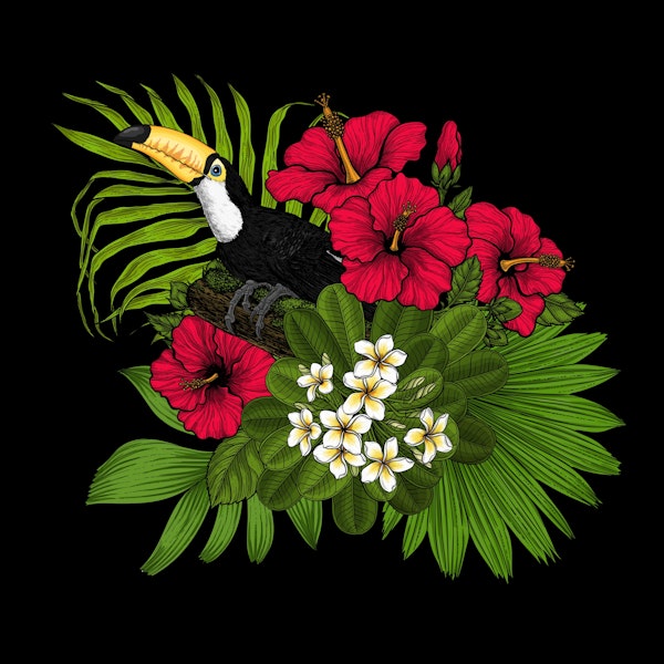 Toucan and tropical flora 3