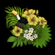Toucan and tropical flora 4
