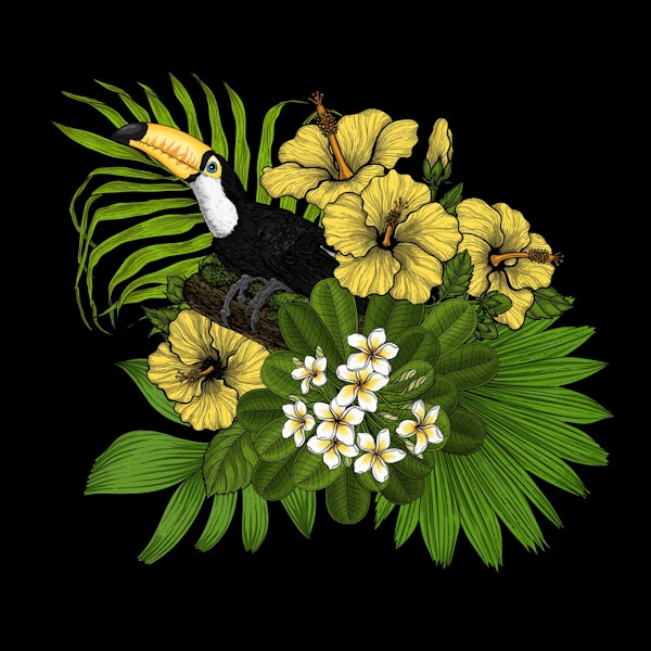 Toucan and tropical flora 4