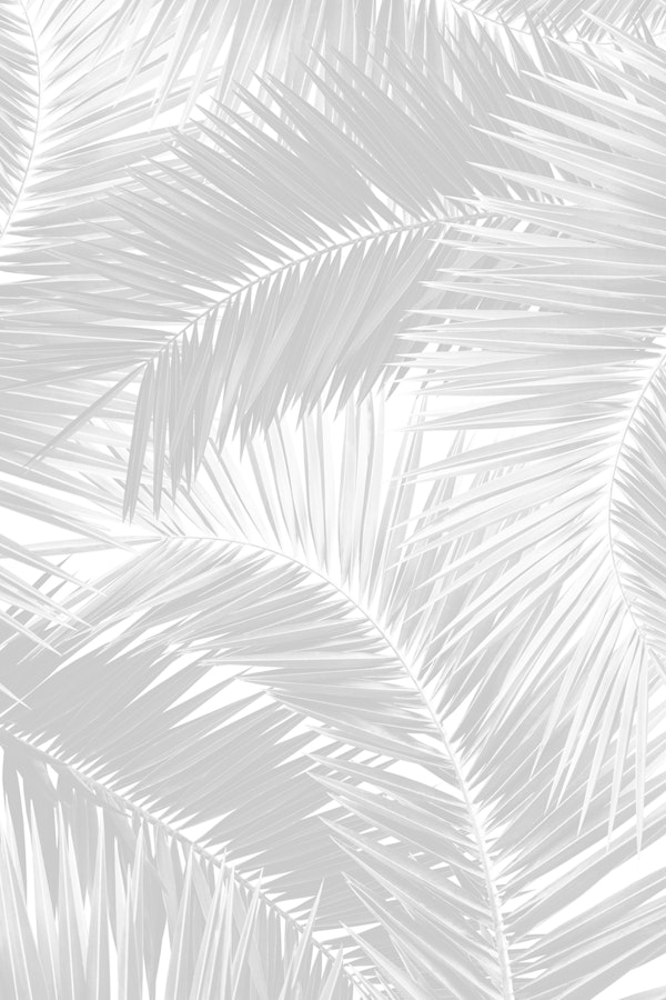 Palm Jungle Pattern 4