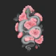Snake and peach roses
