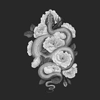 Snake and roses monochrome ταπετσαρία