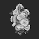 Snake and roses monochrome