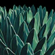 Agave Chic 11