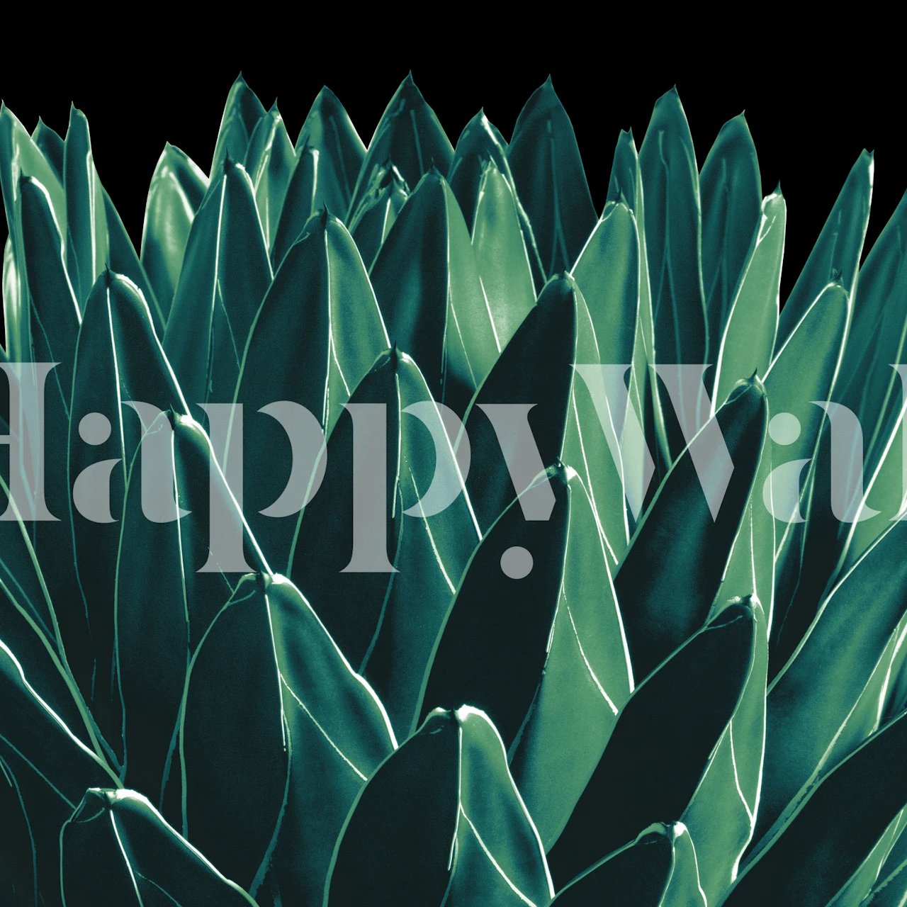 Papier peint Agave Chic 11 dans une pièce stylée