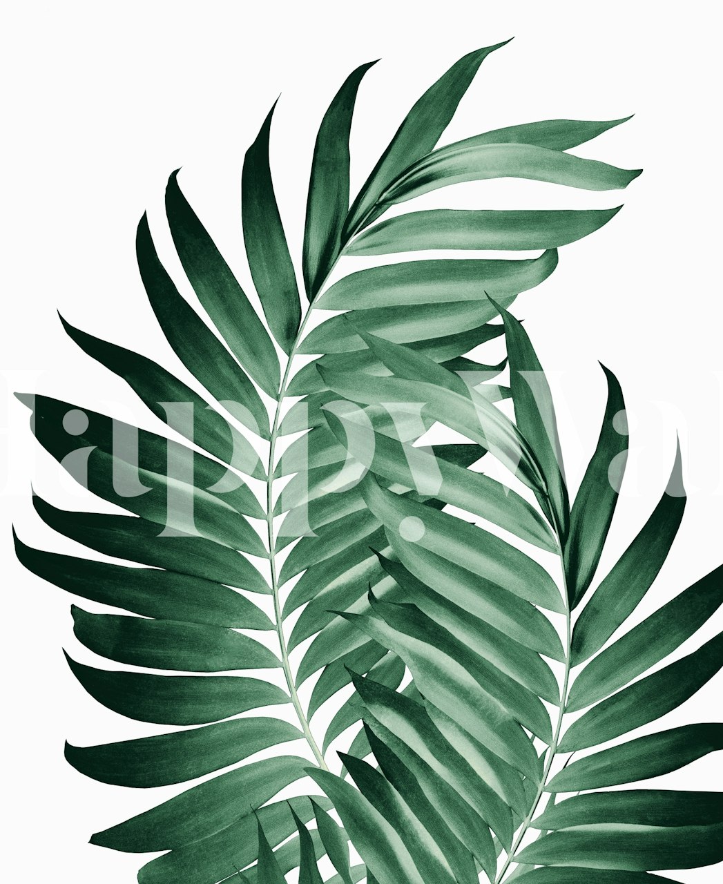 Tropical green palm leaves wallpaper in a room