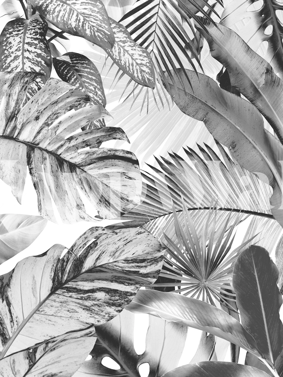 Yksivärinen viidakkoteema