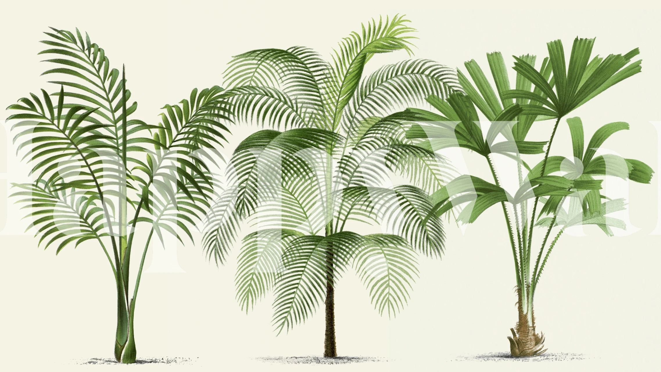 Tropical palm leaves in green and tan wallpaper