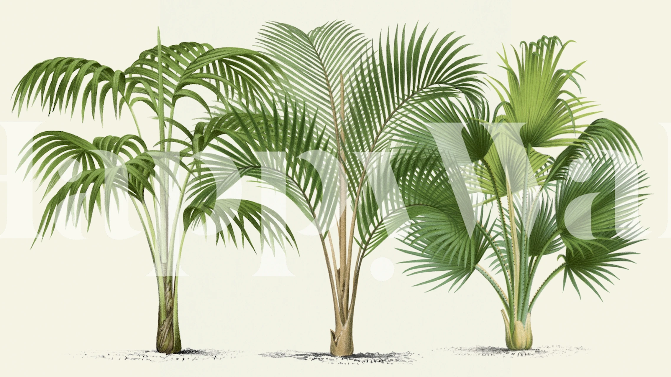 Botanical Palm Leaves Antique Style Wallpaper