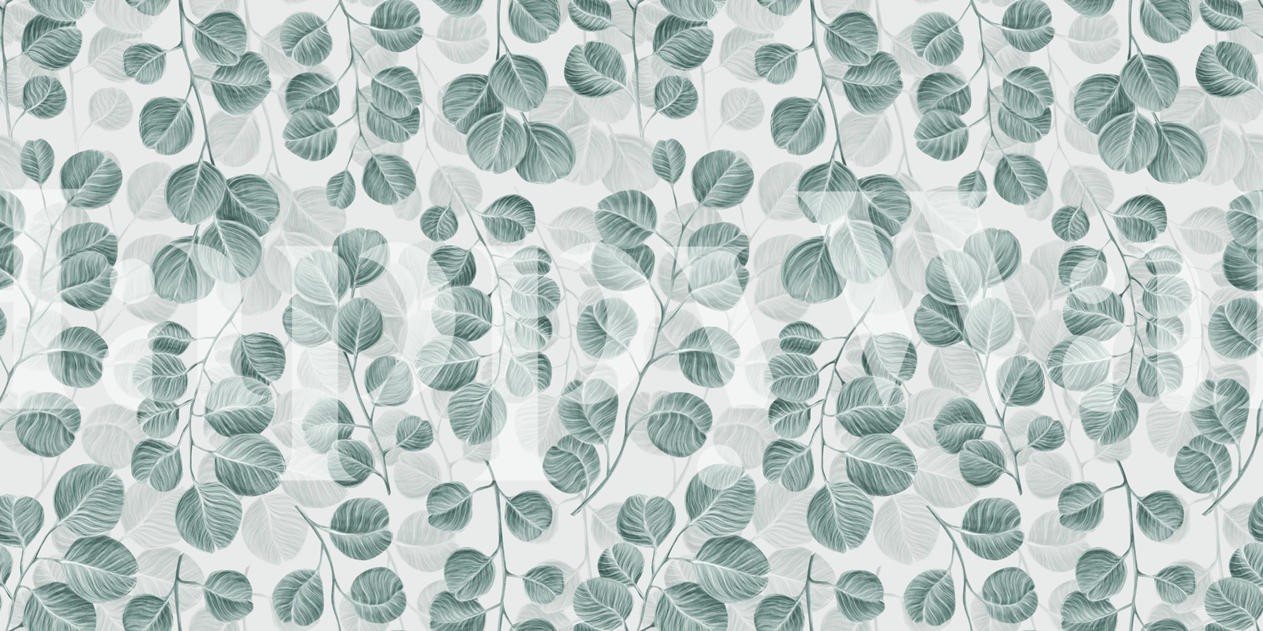 Eucalyptus leaves in soft green tones on white background wallpaper