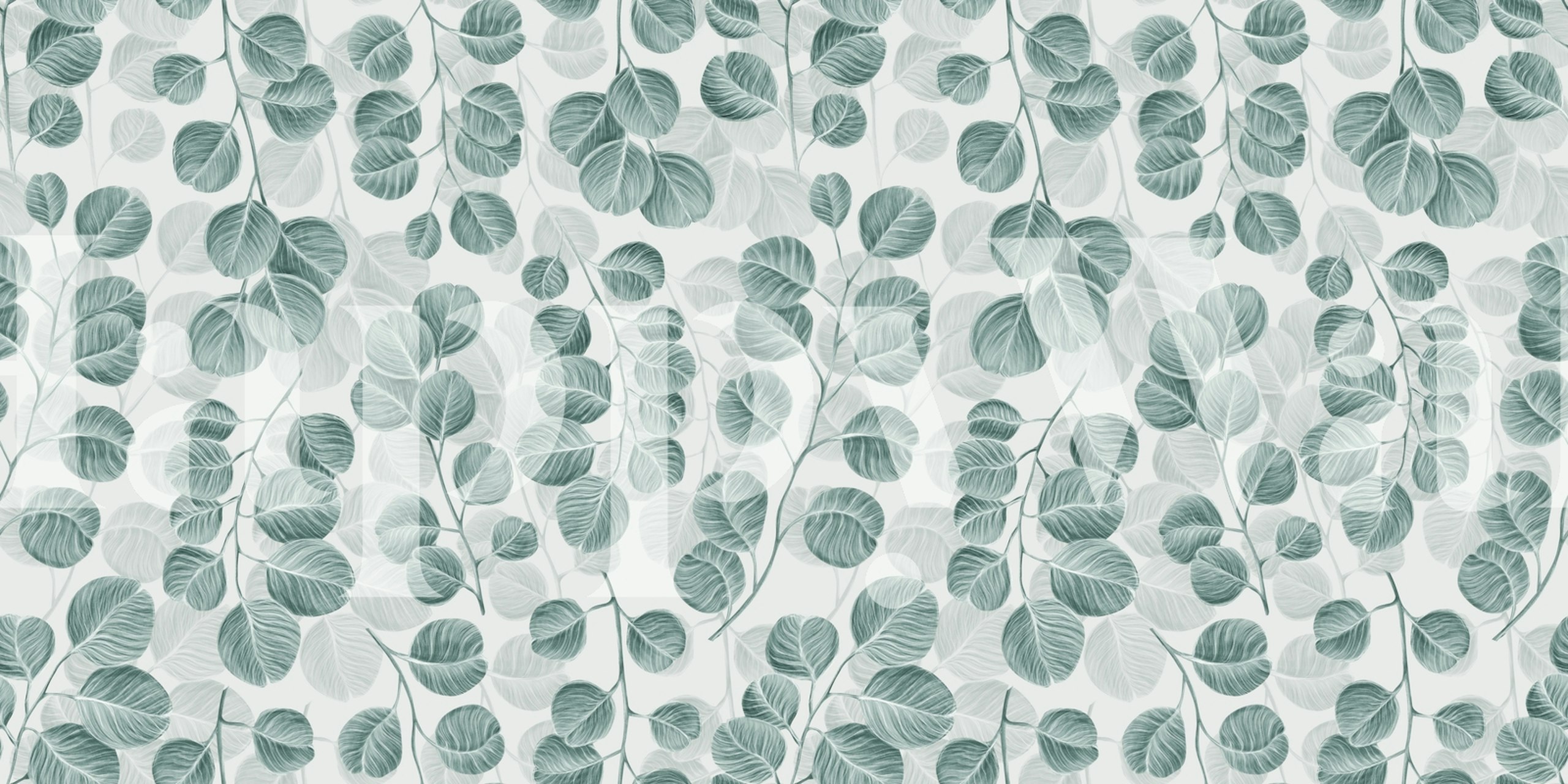 Eucalyptus leaves in soft green tones on white background wallpaper