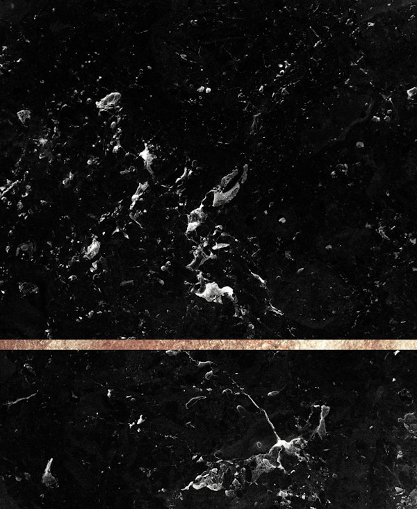 Black Marble Gold Stripe 1