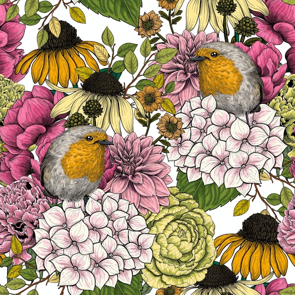 Robins in the garden on white