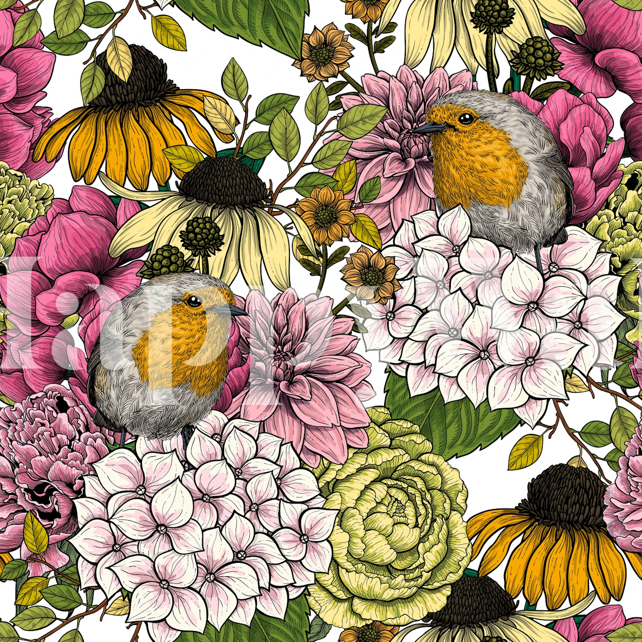 Robins in the garden on white obklopen květinami