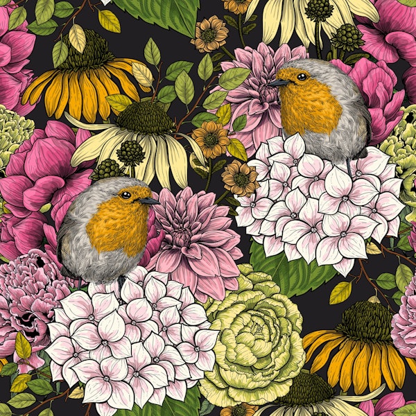 Robins in the garden 3