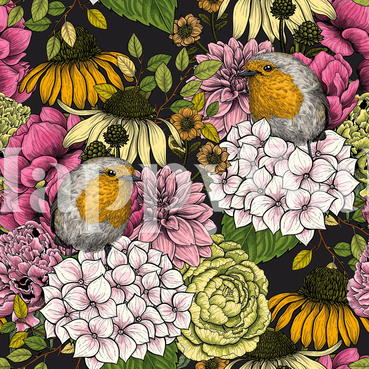 Fototapeta Robins in the Garden 3 s barevnými květinami a červenkami na černém pozadí