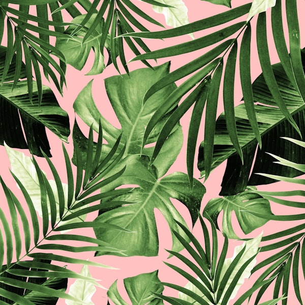 Tropical Jungle Leaves 11