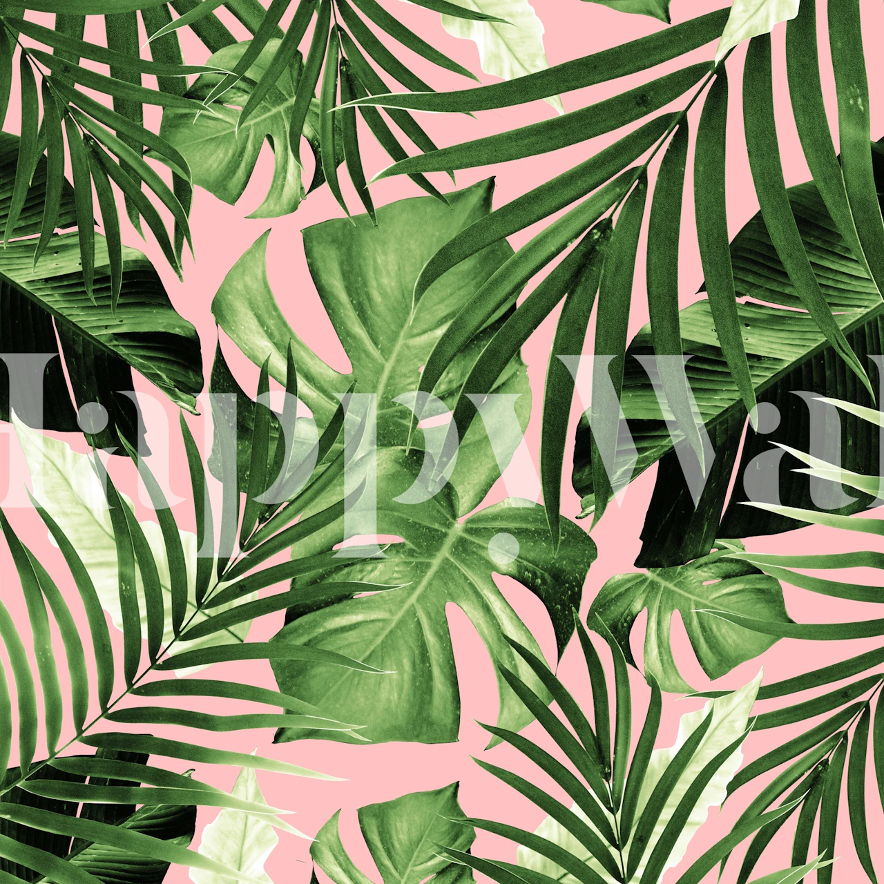 Tropical Jungle Leaves wall mural with pink background