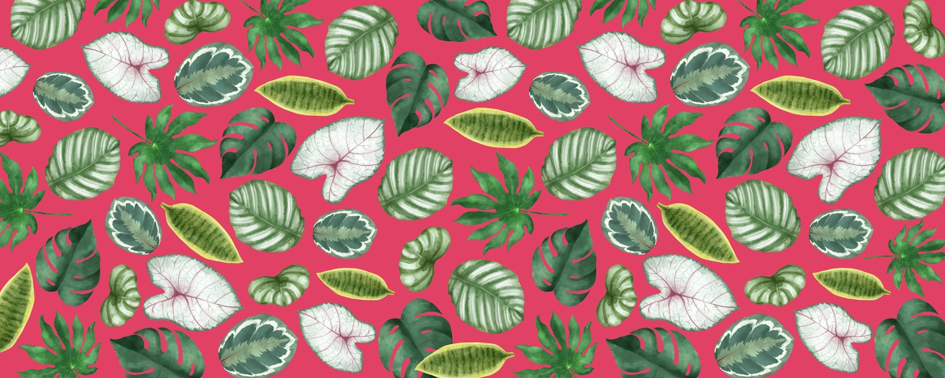 tropical-pattern-of-leaves-iii-wallpaper-happywall