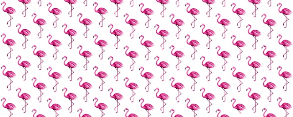 Troical pattern of flamingos