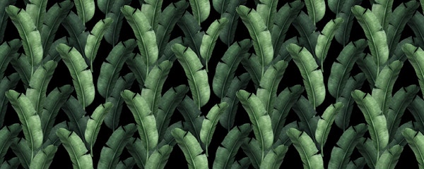 Troical pattern of leaves 03