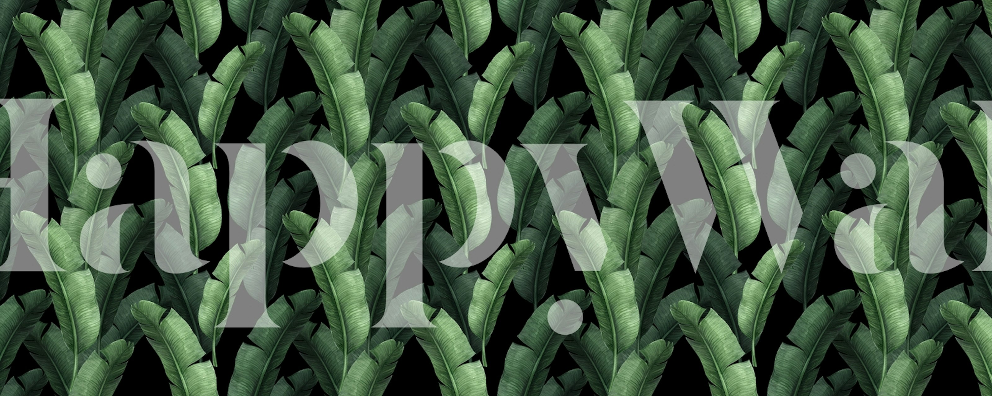 Tropical leaves in green on a black background wallpaper