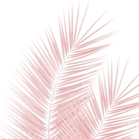 Blush Pink Palm Leaves Dream 1 ταπετσαρία