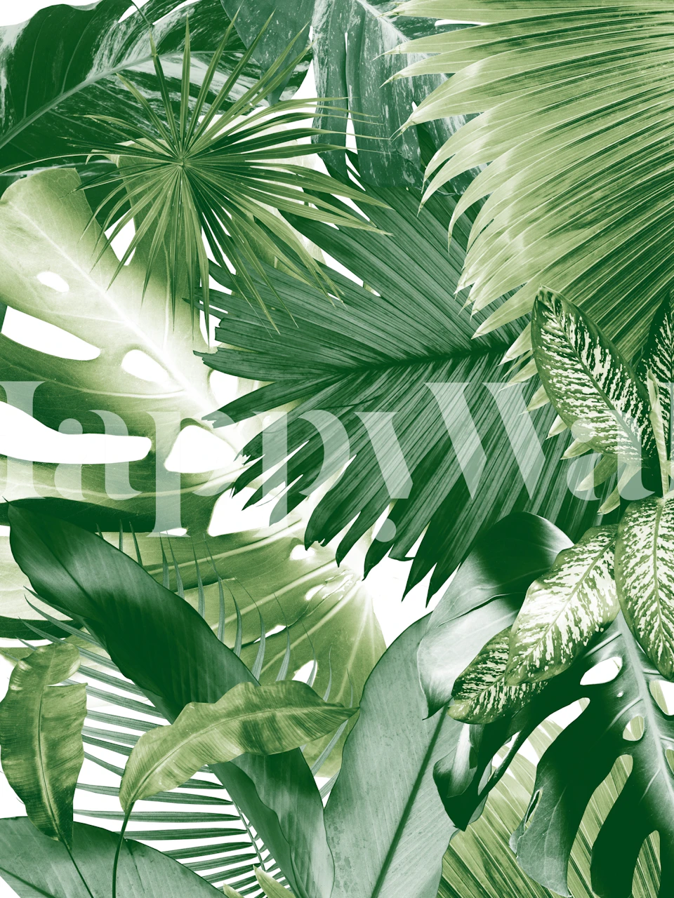 Exotisk tropisk djungeltema-tema fototapet på happywall.com med olika gröna nyanser