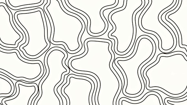 Mid Century Organic Bauhaus