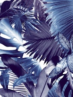 Dushi Jungle Bliss 2 tapeta