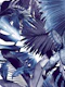 Dushi Jungle Bliss 2