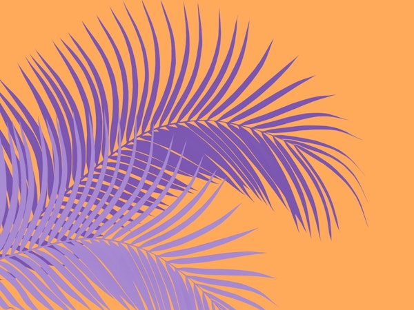 Palm Leaves Purple Orange 1