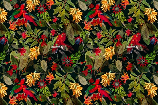 Night Vintage Parrots Jungle