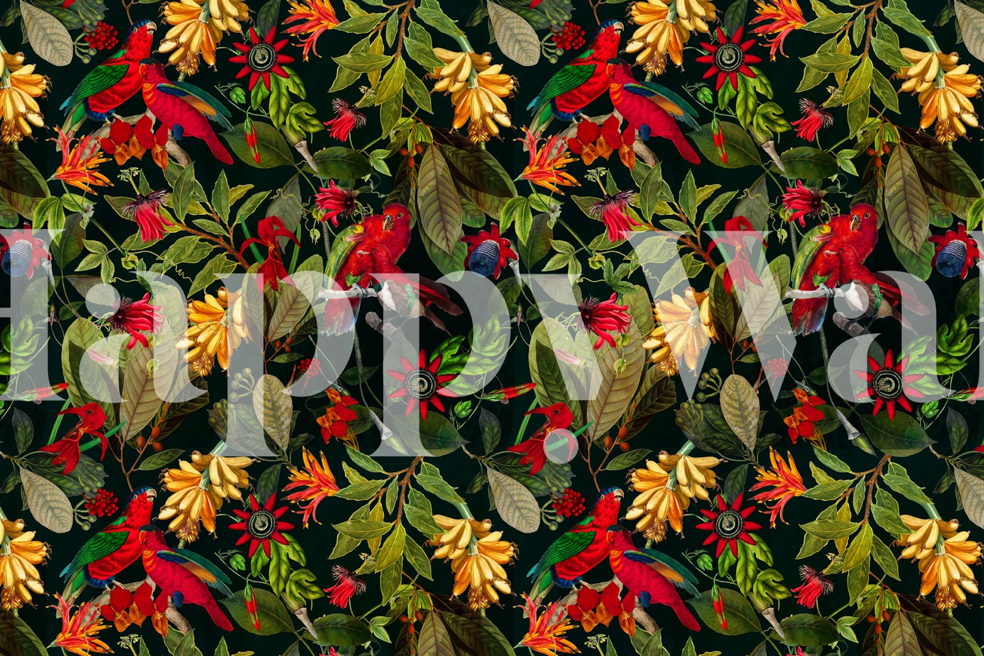 Vintage jungle wallpaper featuring colorful parrots, flowers, and leaves on a dark background