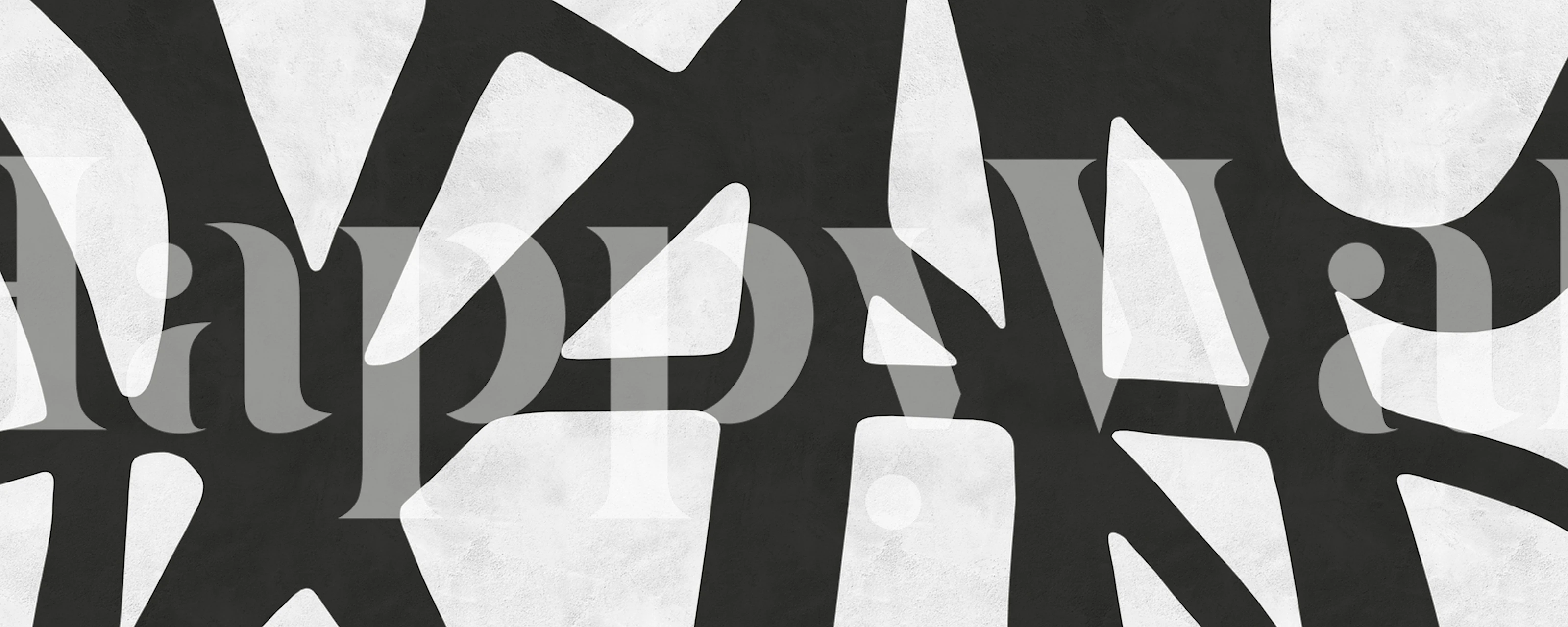 Abstract zwart-wit penseelstreekpatroon muurschildering