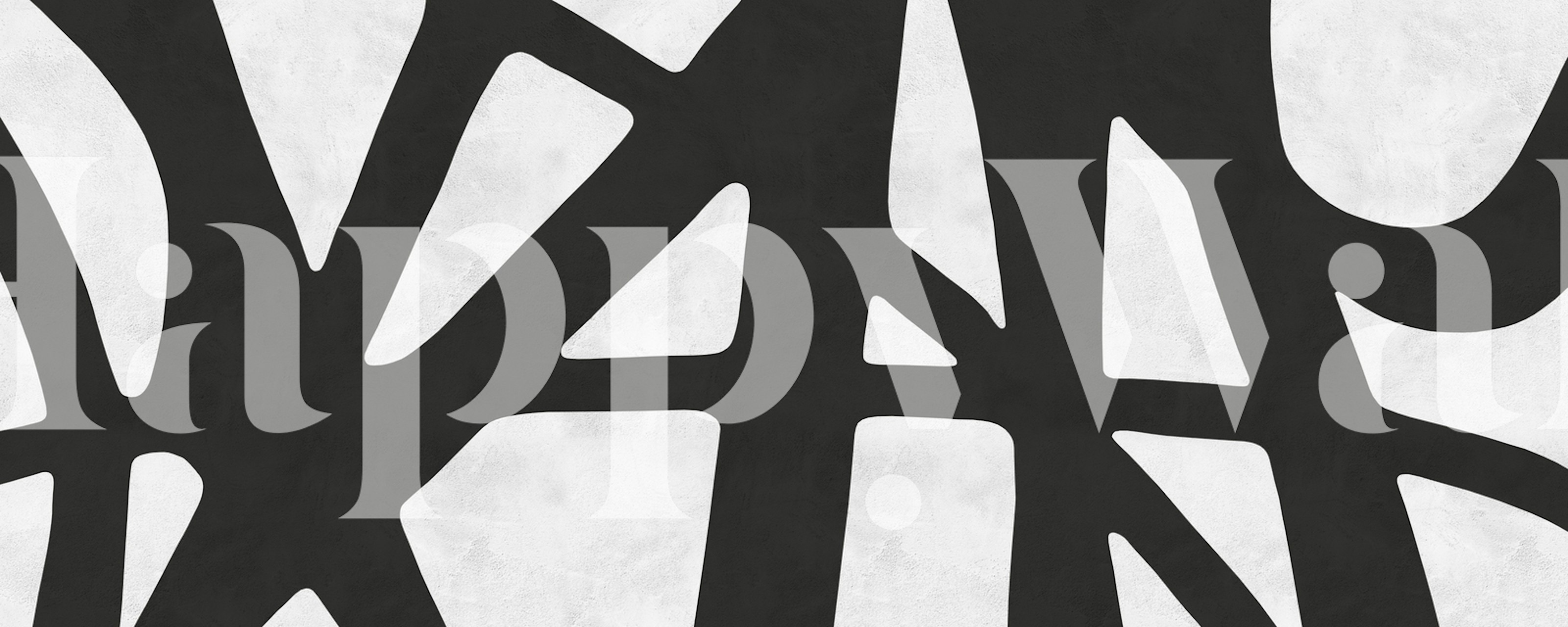 Abstract black and white strokes wall mural