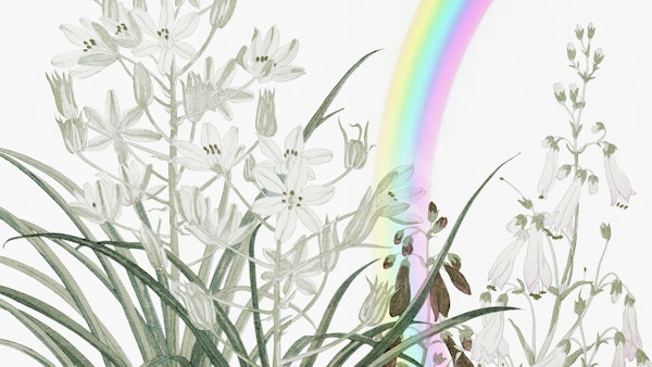 Rainbow Garden Floral