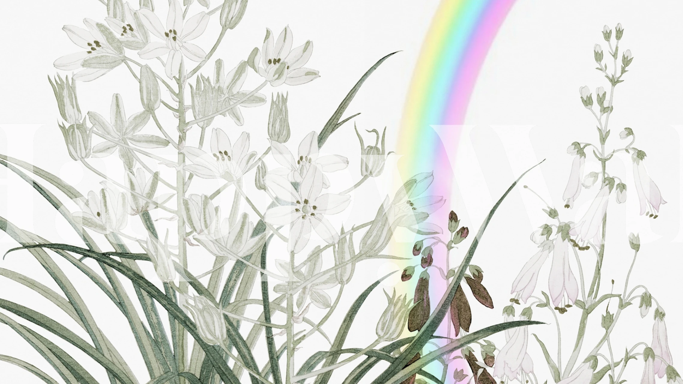 Een Rainbow Garden Floral fotobehang met zachte pastelkleurige bloemen en een delicate regenboog