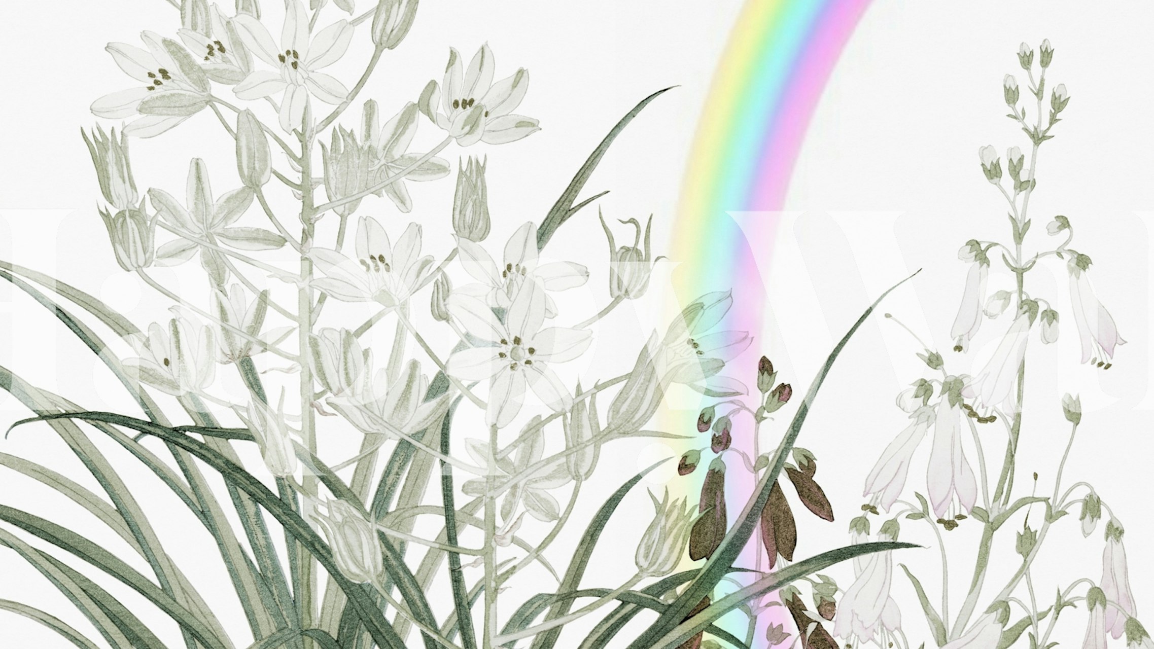 A Rainbow Garden Floral wall mural with soft pastel flowers and a delicate rainbow