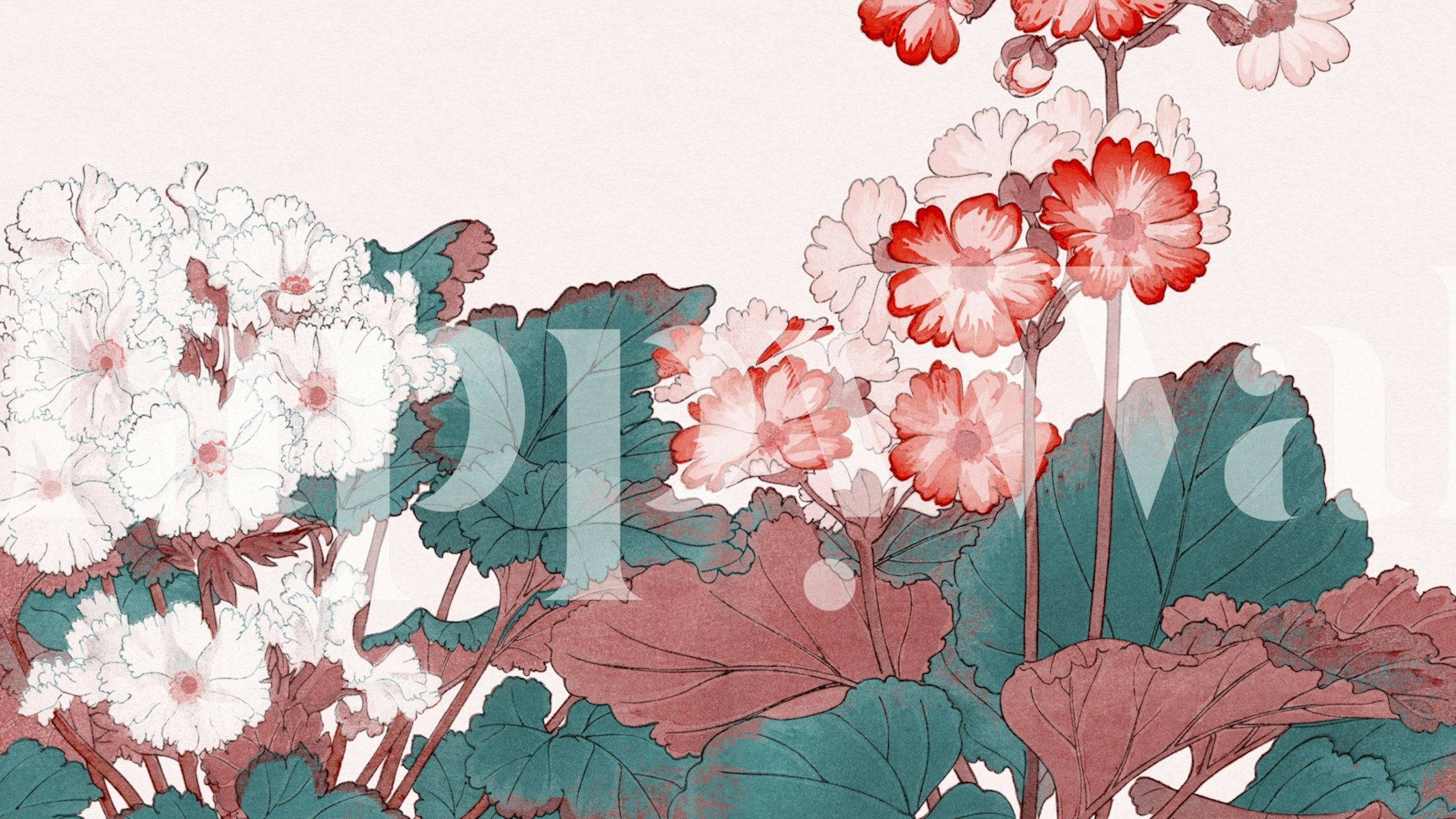 Blush floral wallpaper with white and pink flowers, green leaves