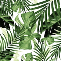 Tropical Jungle Leaves 12 tapeta