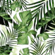 Tropical Jungle Leaves 12