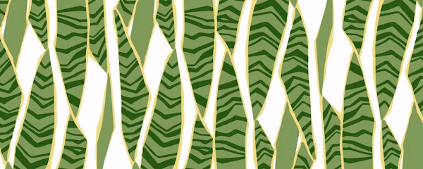 plant pattern