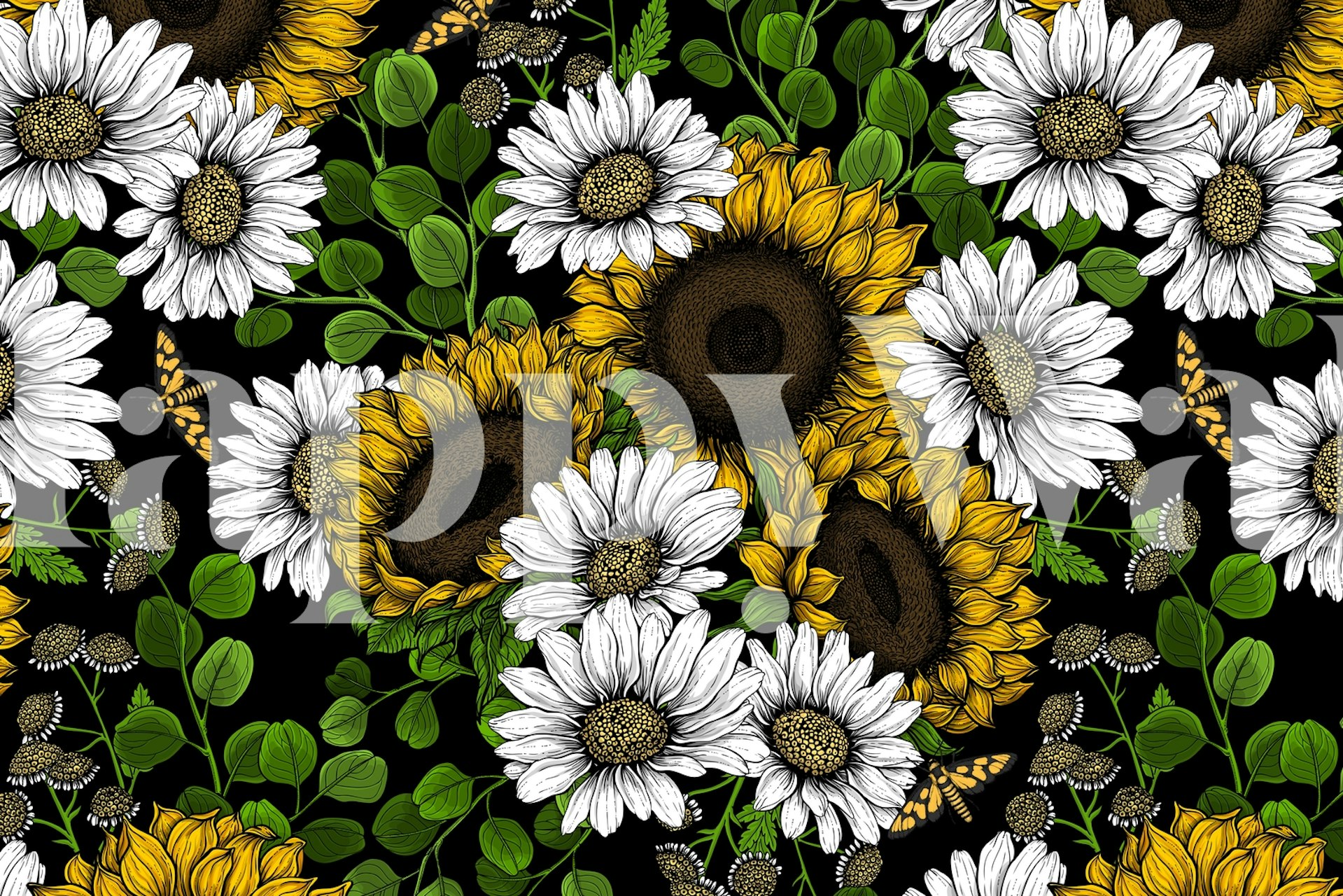 Sunflowers and daisies tapetti huoneessa